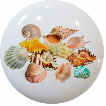 Seashell Grouping Ceramic Cabinet Drawer Knob