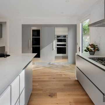 Clean, Modern Grey Kitchen in Lexington, MA