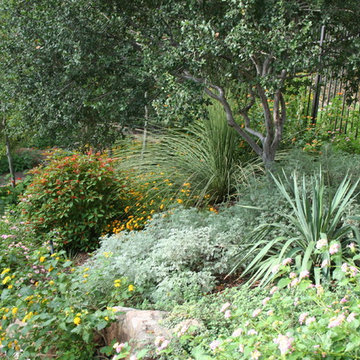 Traditional garden in Northwest Hills