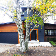 Plains Exterior