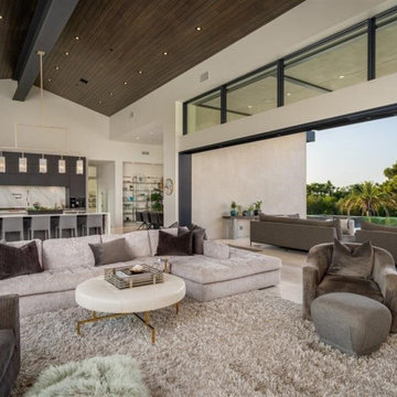 San Elijo Cool Modern