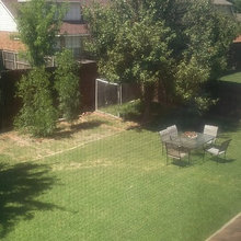 backyard reno
