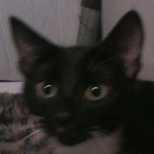 Donna Kondro's photo
