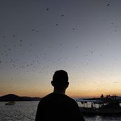 Victor Gunawan's photo