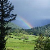 Lori Bushnell's photo