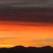 Rachel Barbe's photo