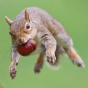 Jay Bryans foto