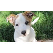 Josephine Morris's photo