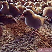 Eric Menzels foto