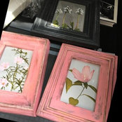 Valerie DiBartolomeo's photo