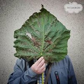 tom pollack's photo