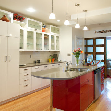 Bohemian Modern Eco-Friendly DC Row House
