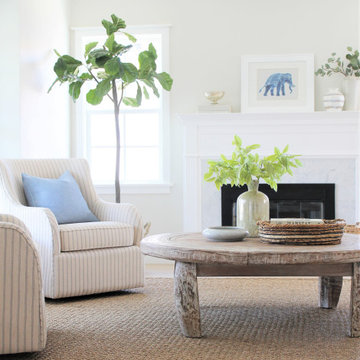 Coastal Fresh Living Room
