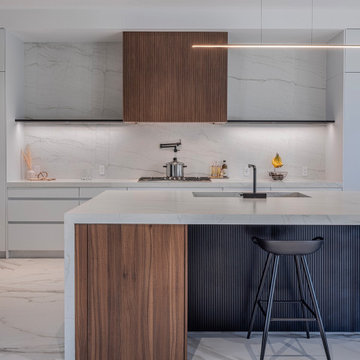 Modern Dream Kitchen in Milton, MA