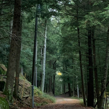 Drive Up to the Camp - view north