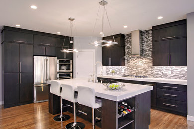 Kitchen - modern kitchen idea in Cedar Rapids with dark wood cabinets