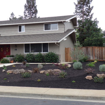 Lawn Replacement or Reduction