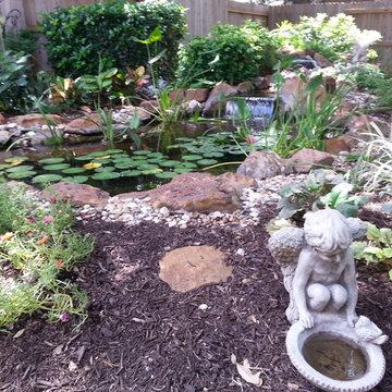 Ecosystem Ponds, Water Garden Ideas for Your Austin, Central Texas Landscape