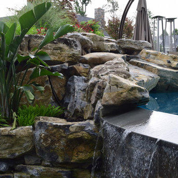 Building a Dream Backyard