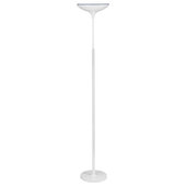 Floor Lamp with Remote Control for Bedroom/Living Room/Office,65'' Corner  Timer Reading Lamp( 36W Bulb Included)