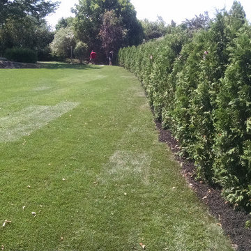 Sod Installation, Brush Removal, Planting, Mulching and Trimming