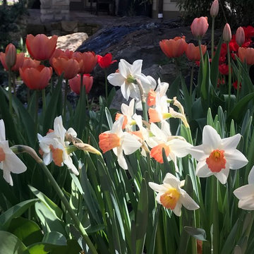 Best of Spring Color