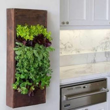 Butlers kitchen
