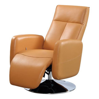 https://st.hzcdn.com/fimgs/83b1e7af0dc34d90_9863-w320-h320-b1-p10--contemporary-recliner-chairs.jpg