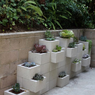 ロサンゼルスの中サイズのモダンスタイルのおしゃれな裏庭のテラス (コンテナガーデン、コンクリート板舗装	、日よけなし) の写真