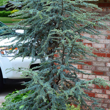 Norman, OK Landscaping Renovation