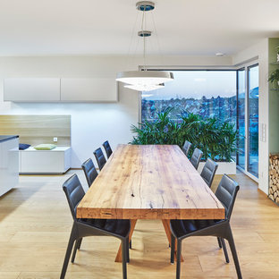 ニュルンベルクの中サイズのモダンスタイルのLDKの画像 (グレーの壁、無垢フローリング、コーナー設置型暖炉、漆喰の暖炉まわり、ベージュの床)