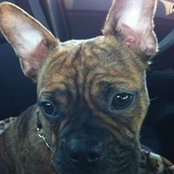 Christina Cormier's photo