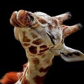 Foto von Anke Barnbeck