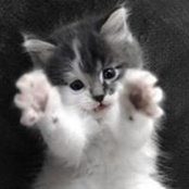 Foto de Lorna Halbert
