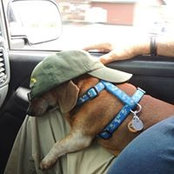 Kathy Matoon's photo