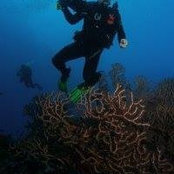 Jason Congdon's photo