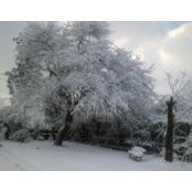 Eka Tsarias foto