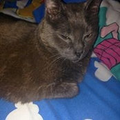 Xenia Salazar's photo