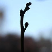 Gwen Hautefeuille's photo