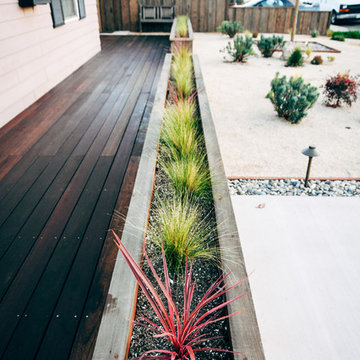 North Park Craftsman Xeriscape