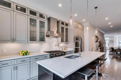 Kitchen - transitional kitchen idea in DC Metro