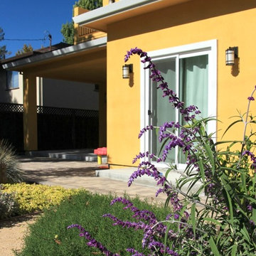 Vivide colors garden