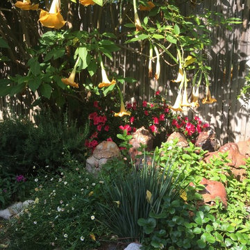 Pasadena Artist Home