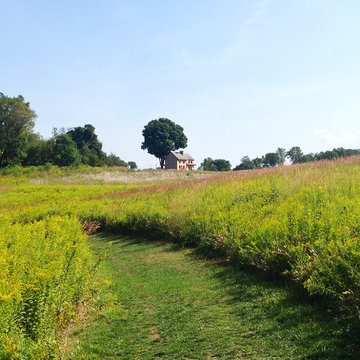 Meadows