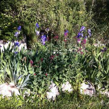 Création d'un jardin - Puyricard