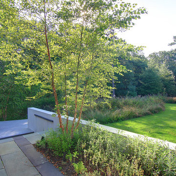 Wild Harbor Garden