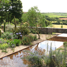 Landscape Ideas