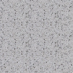 QUARTZ COUNTER TOP AND FLOOR - Kitchen Countertops