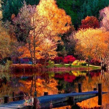 Fall Decor Designs and Ideas