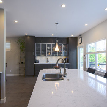 Modern Kitchen With Transparent Cabinets